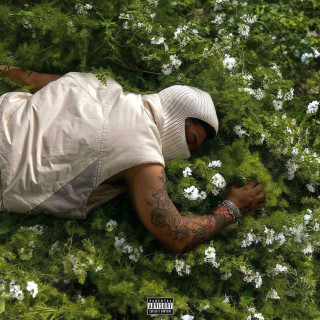 NoCap - Before I Disappear Again album cover