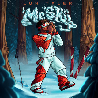 Luh Tyler - Mr. Skii album cover