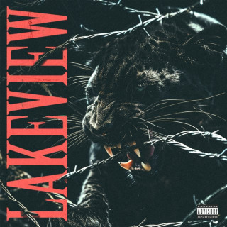 Lakeview - Lakeview album cover