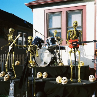 Oso Oso - life till bones album cover