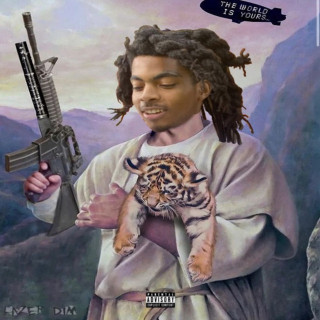 LAZER DIM 700 - The World Is Yours album cover