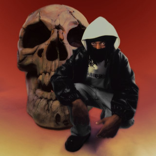 $NOT - Viceroy album cover