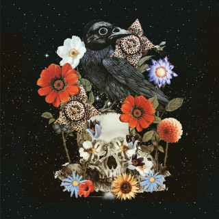 The Wind And The Wave - Racing Hearts album cover