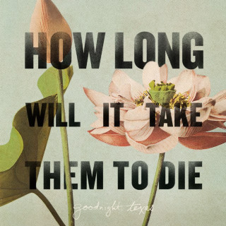Goodnight, Texas - How Long Will It Take Them To Die album cover