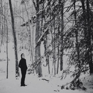The Arcadian Wild - Look Around single cover