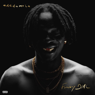 Fireboy DML - adedamola album cover