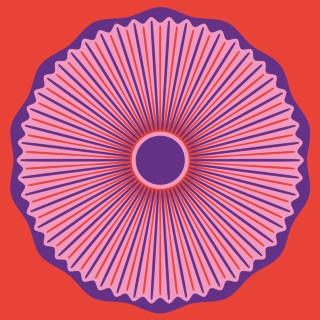 Fruit Bats - A Decoration EP cover