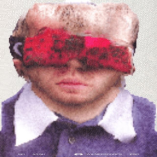 Ski Aggu - Wilmersdorfs Kind album cover