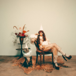 Wallice - The Jester album cover