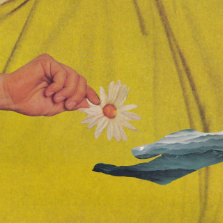 WILD - Yellow EP cover