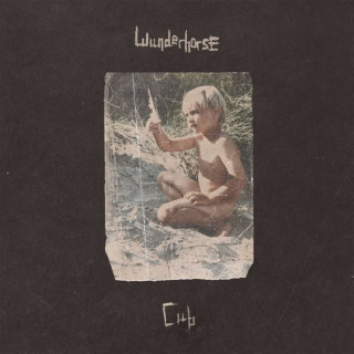 Wunderhorse - Cub album cover