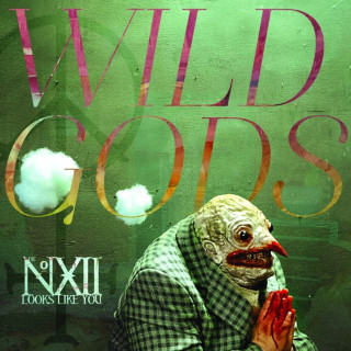 The Number Twelve Looks Like You - Wild Gods album cover