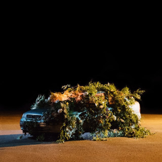 Lamin - Kronisk Skeptisk album cover