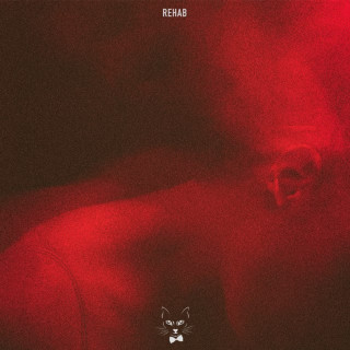 The Motans - Rehab EP cover