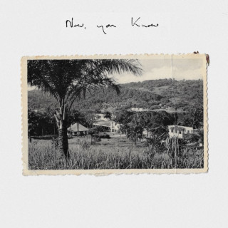 Rosie Lowe - Now, You Know album cover