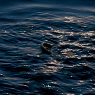 Savina & Drones - Lasha album cover