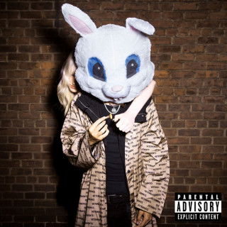 cheRomani+ - Sayso Says album cover