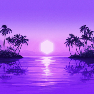 Purple Disco Machine - Paradise album cover