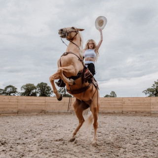 Janet Devlin - Emotional Rodeo album cover