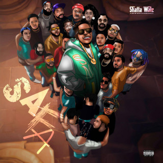 Shatta Wale - SAFA album cover
