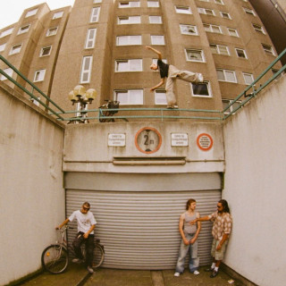 $OHO BANI - EIN SCHRITT UND ICH FALL album cover