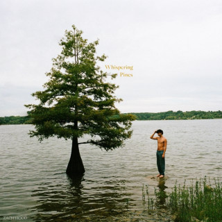 Zach Hood - Whispering Pines album cover