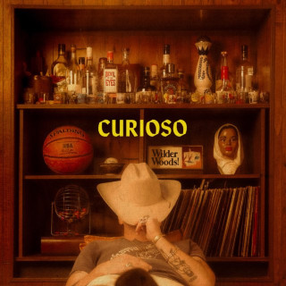 Wilder Woods - Curioso album cover
