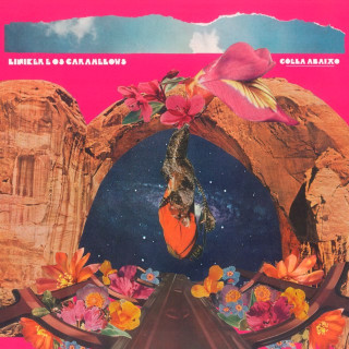 Liniker - Goela Abaixo album cover