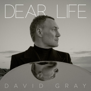 David Gray - Dear Life album cover