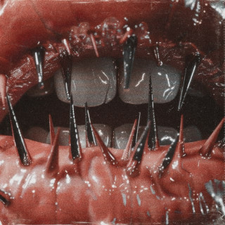 Saltwound - The Temptation Of Pain album cover