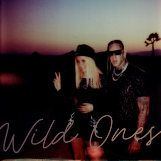 Nova Rockafeller - Wild Ones album cover