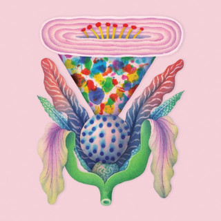 Luke Sital-Singh - Fool's Spring album cover