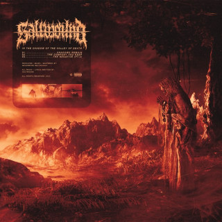 Saltwound - In The Shadow Of The Valley Of Death single cover