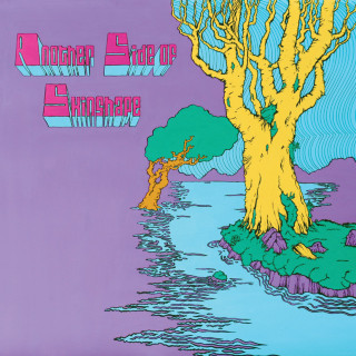 Skinshape - Another Side Of Skinshape album cover