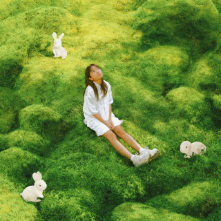 Tiffany Day - LOVER TOFU FRUIT album cover