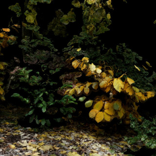 Oklou - For The Beasts EP cover