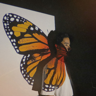 Will Jay - Butterfly Effect album cover