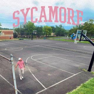 Nic D - SYCAMORE album cover