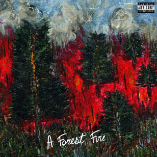 RAY BLK - A Forest Fire EP cover