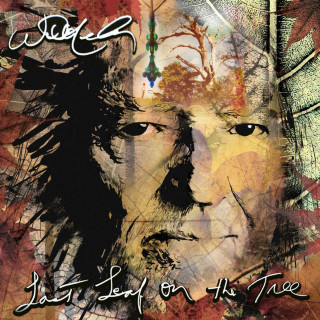 Willie Nelson - Last Leaf On The Tree album cover