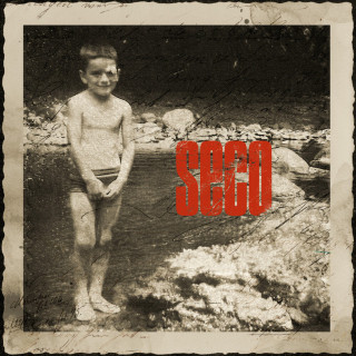 Ricardo Arjona - SECO album cover