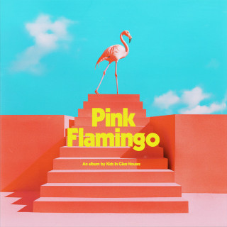 Kids In Glass Houses - Pink Flamingo album cover