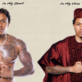Rotimi - In My Heart In My Veins album cover