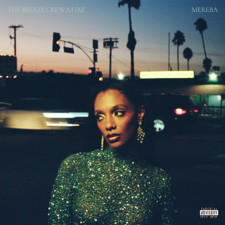 Mereba - The Breeze Grew A Fire album cover