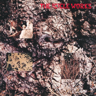 The Icicle Works - The Icicle Works album cover