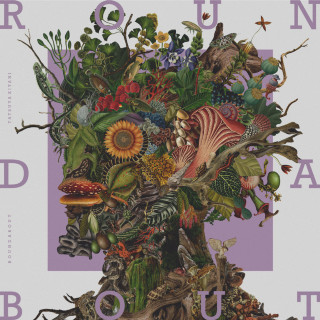 Tatsuya Kitani - ROUNDABOUT album cover