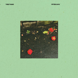 Theis Thaws & Rosa Rocca-Serra - Fifteen Days album cover