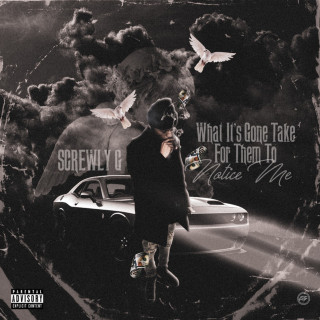 Screwly G - What It's Gone Take For Them To Notice Me album cover