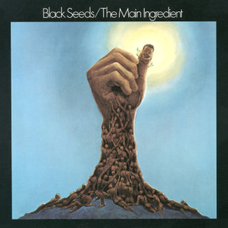 The Main Ingredient - Black Seeds album cover