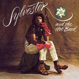 Sylvester - Sylvester And The Hot Band album cover